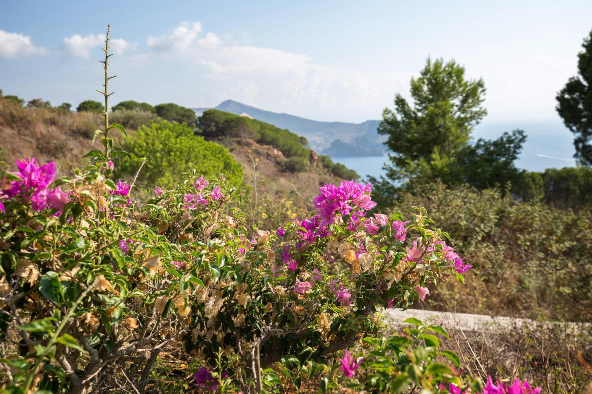 Sealight Villa Lipari - Vista E Piscina Екстериор снимка